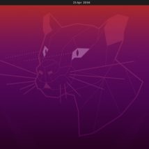 ubuntu
