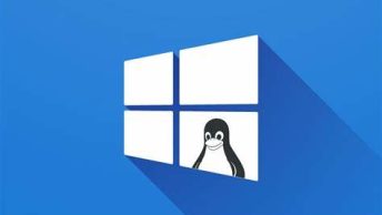 wsl windows linux